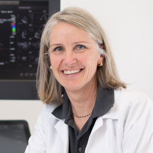 Dr. Karin Steckholzer